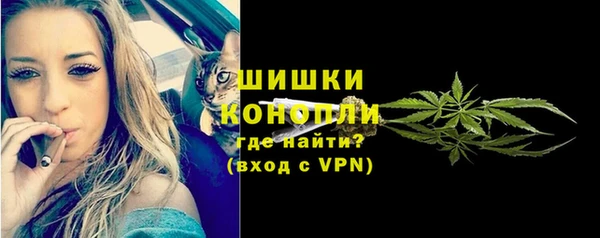 ECSTASY Армянск